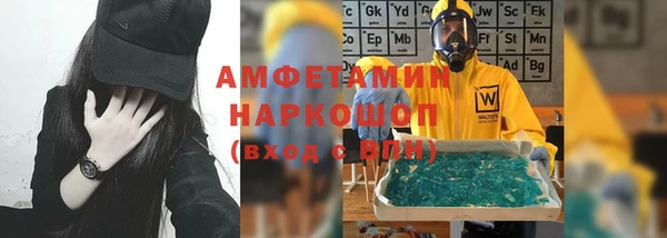 прущие грибы Абаза