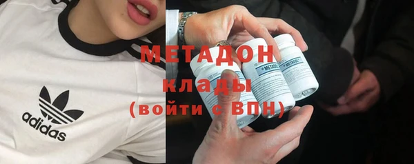 прущие грибы Абаза