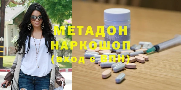 прущие грибы Абаза