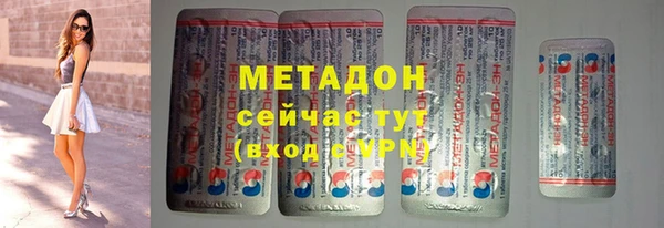 прущие грибы Абаза
